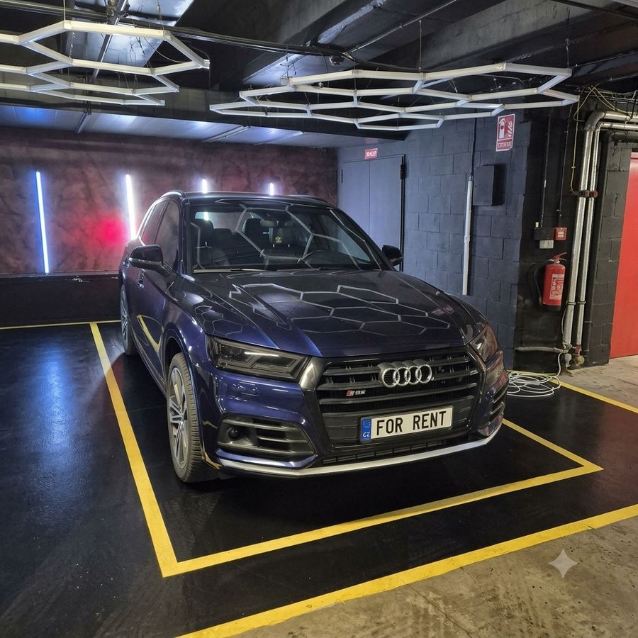 Audi SQ5، صورة خارجية، كافالما ماربيا - 7 / 12