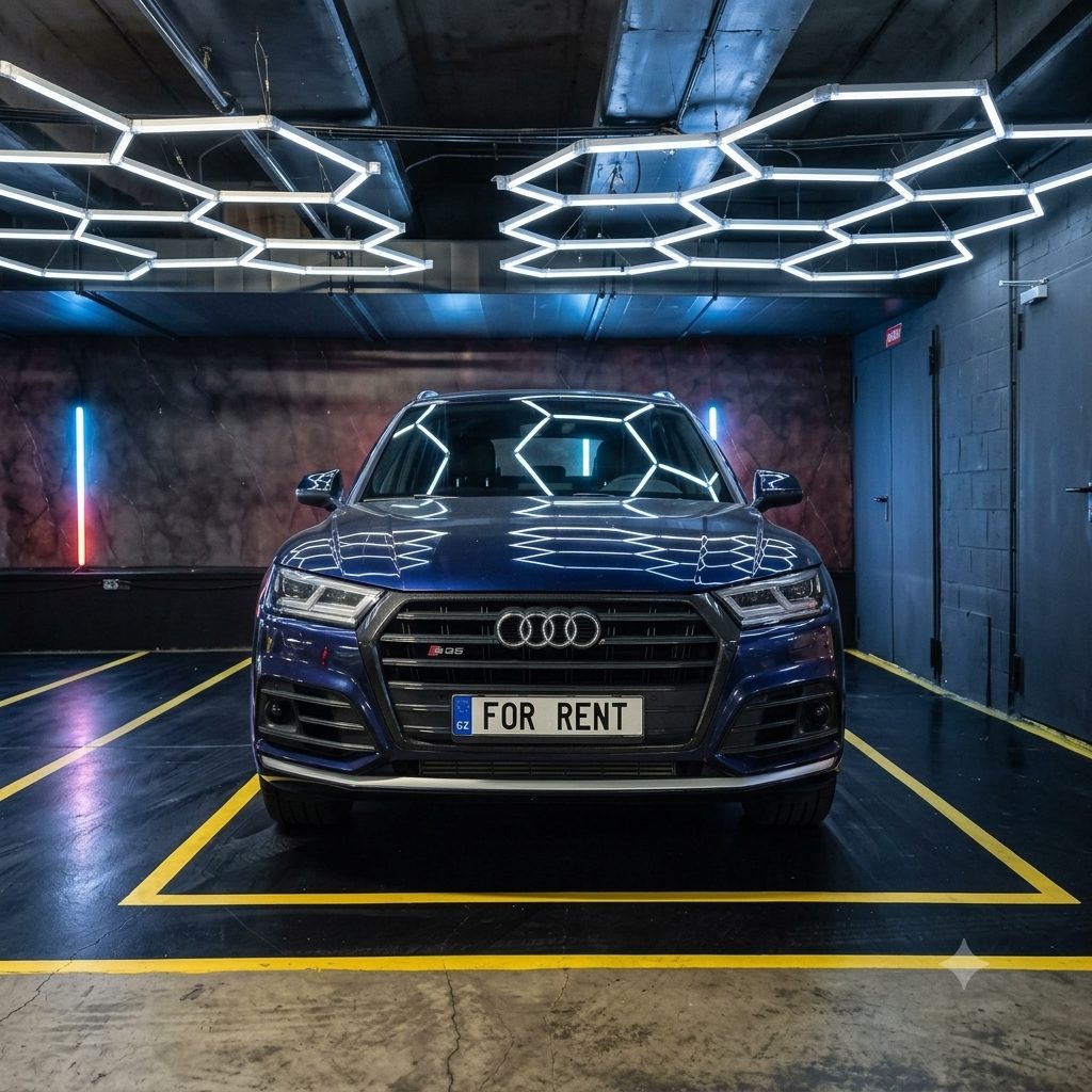 Audi SQ5، صورة خارجية، كافالما ماربيا - 12 / 12